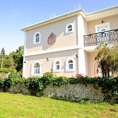 Aelia Studios Laganas